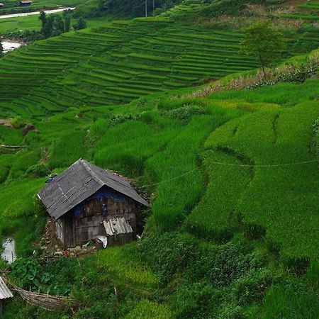 Freedom Homestay & Trekking Sa Pa Exterior photo