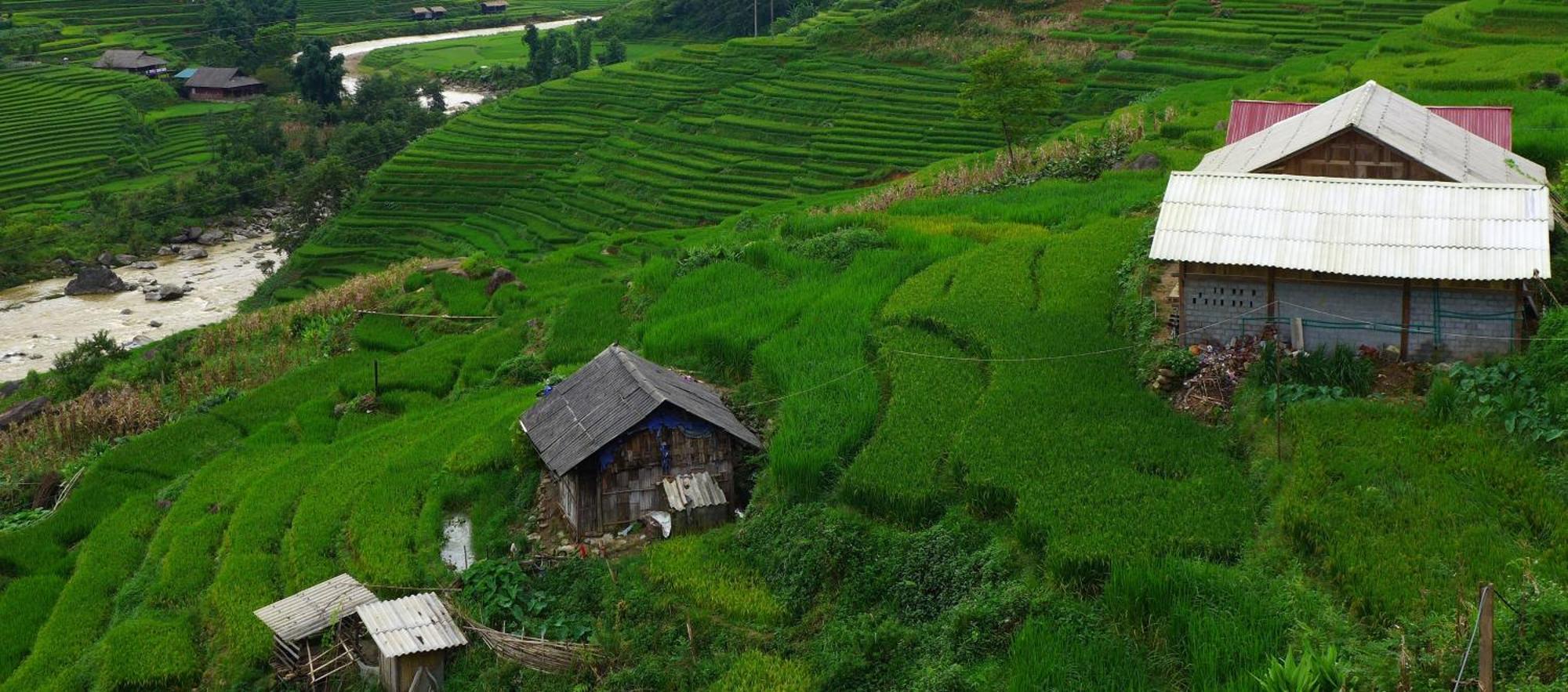 Freedom Homestay & Trekking Sa Pa Exterior photo