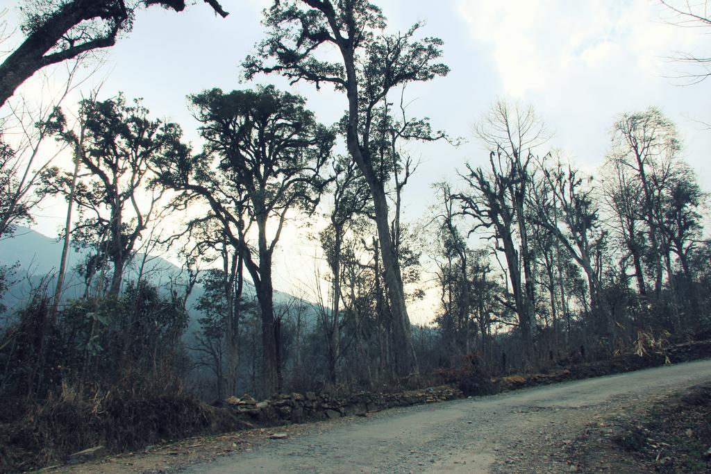 Freedom Homestay & Trekking Sa Pa Exterior photo