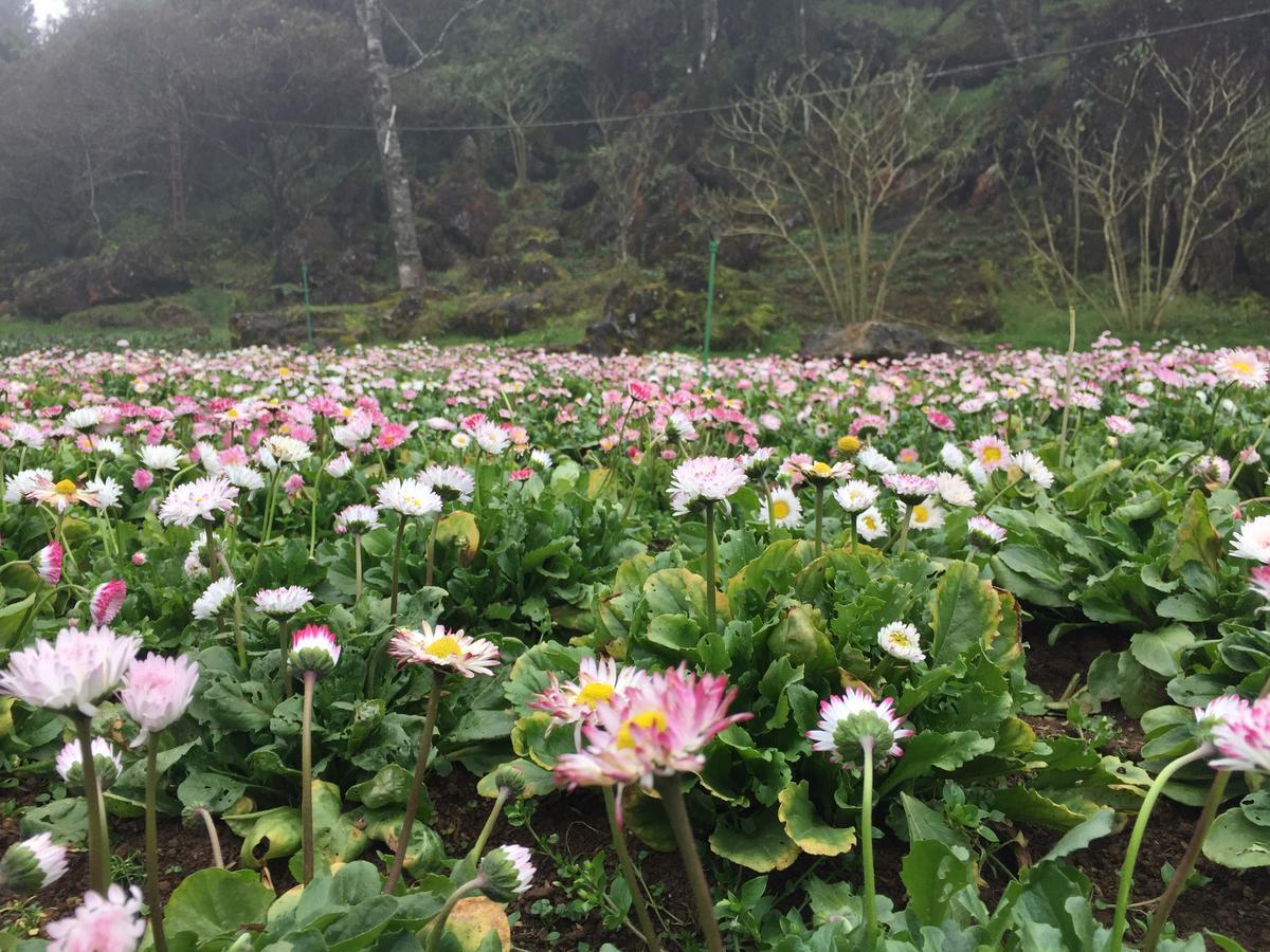 Freedom Homestay & Trekking Sa Pa Exterior photo